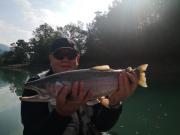 lake rainbow trout light
